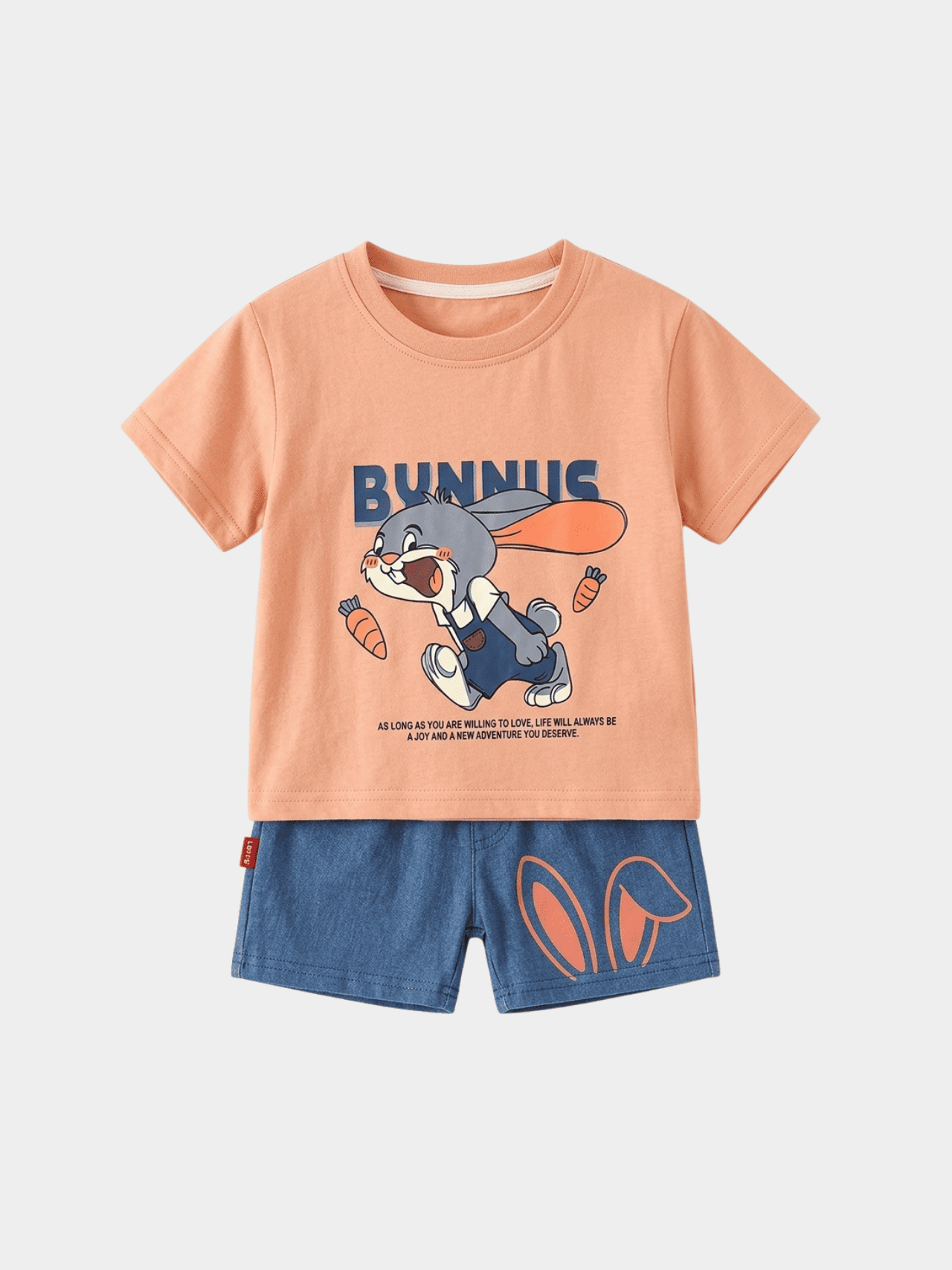 Boys Bunny Adventure T-shirt And Shorts Set - ChildrenGoods